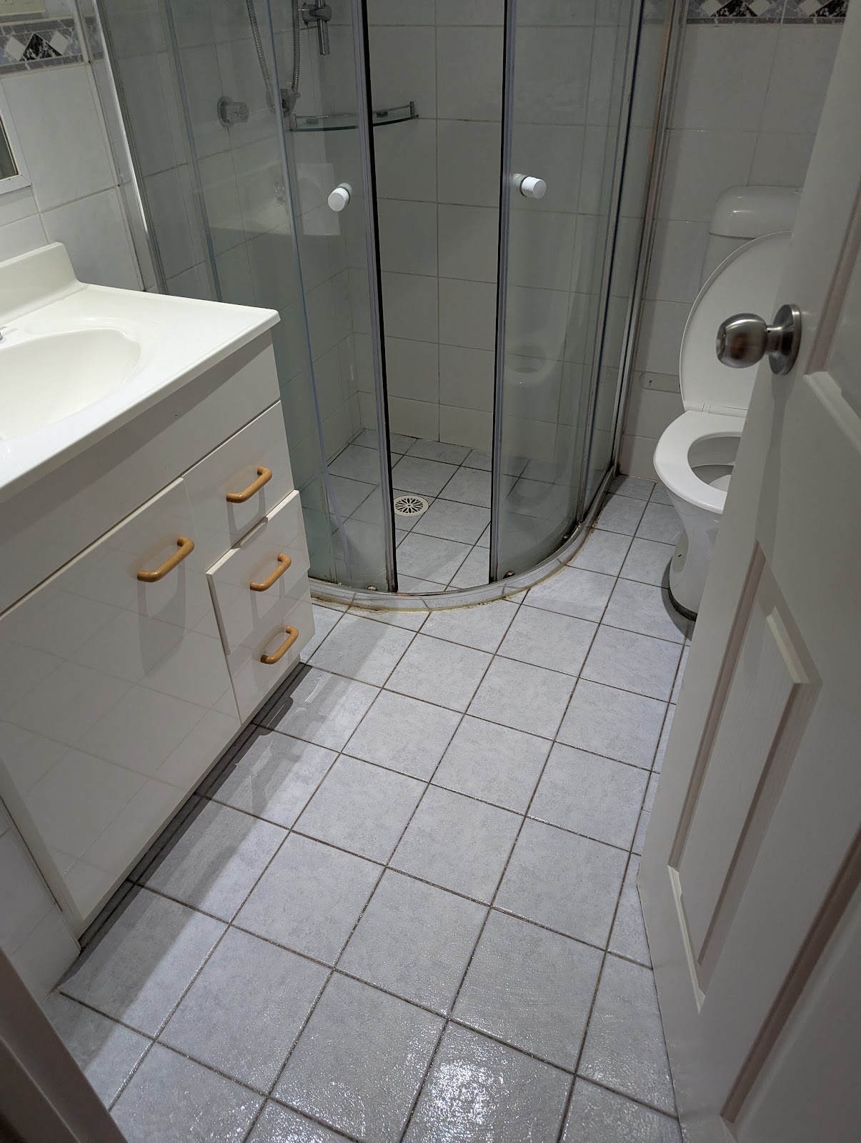 Bathroom shower and toilet