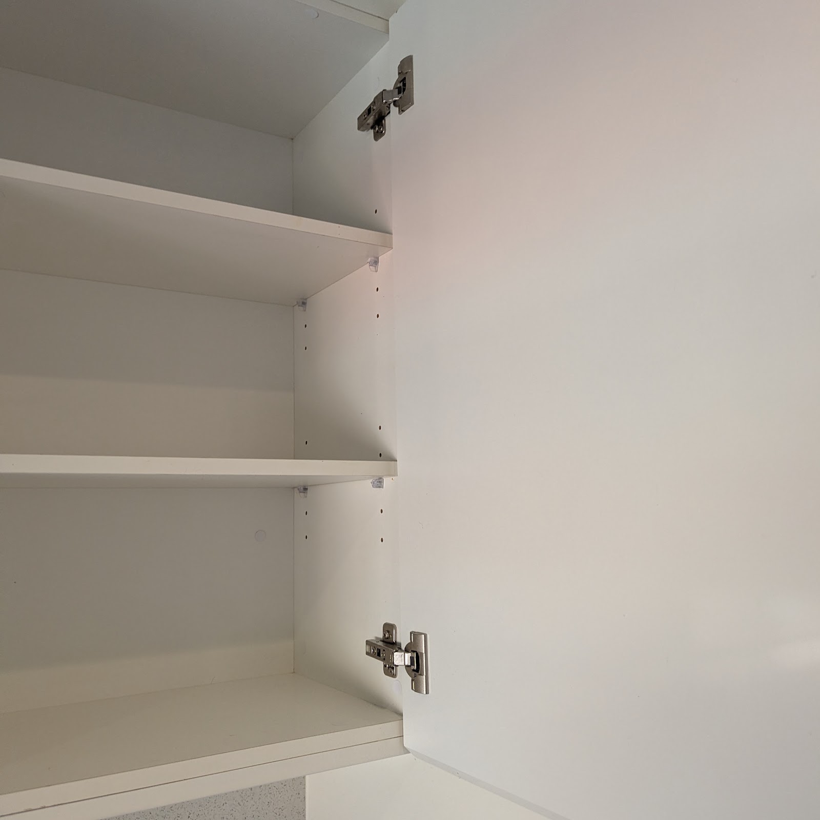 Cabinet interior and shelving